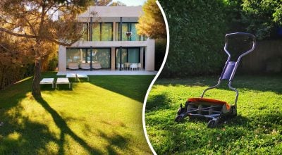 Газон, трава