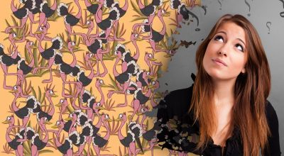 Заметить зонтик среди страусов за 11 секунд смогут единицы: сложная загадка