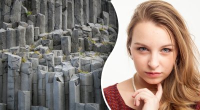 Знайти сову за 10 секунд зможе лише найуважніший: складна оптична ілюзія