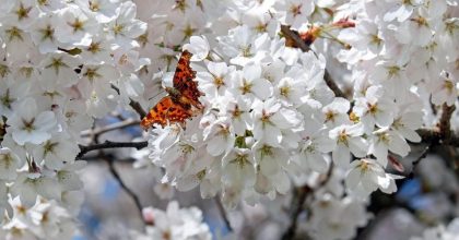 5 строгих запретов: что категорически нельзя делать 28 мая