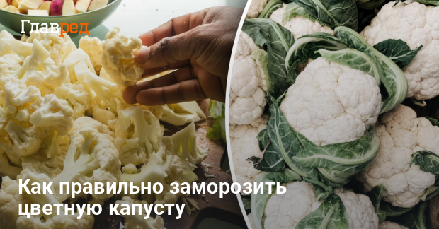 Комментарии к рецепту: Лоранский пирог с курицей, грибами и брокколи