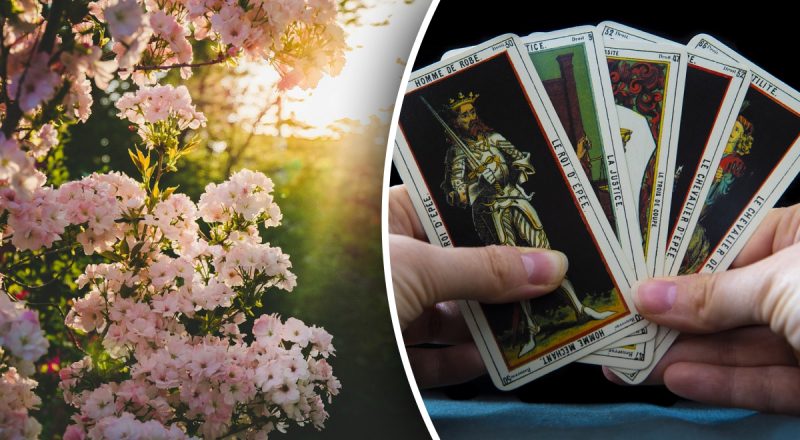 Гороскоп Таро на тиждень з 6 до 12 травня: Стрільцям - романтика, Ракам - екстрим