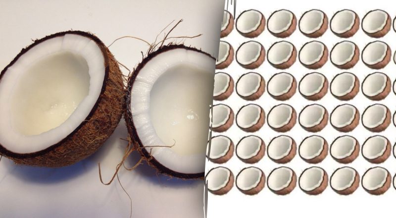 Завдання для найпильніших: потрібно знайти дивний кокос за 5 секунд