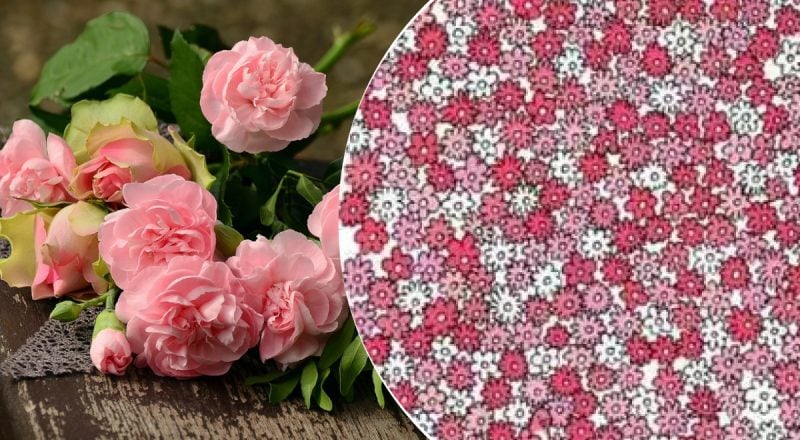 Потрібно знайти п'ять зірок серед моря квітів за 5 секунд - дуже складна головоломка