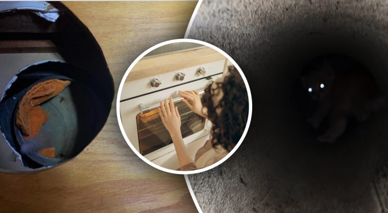 Пара вночі почула дивні звуки з духовки: те, що було всередині вразило всіх