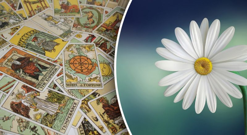 Гороскоп Таро на неделю с 13 по 19 мая: Ракам - экономить, Девам - гармония в семье