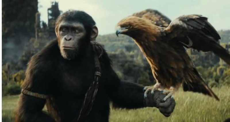 Примат тваринного над людським: рецензія на фільм "Королівство планети мавп"