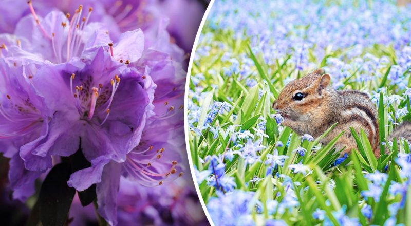 Китайский гороскоп на сегодня 22 мая: Быкам - сложный день, Змеям - драма