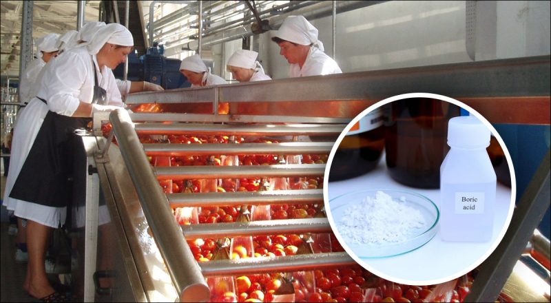 Коли обприскувати огірки і помідори борною кислотою: дешевий засіб допоможе врожаю