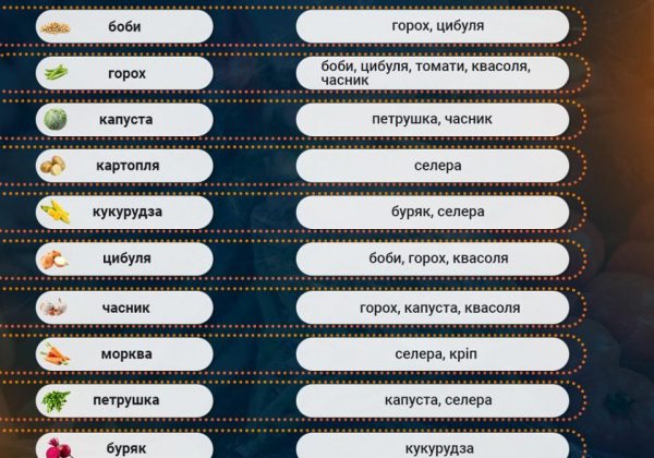 нельзя выращивать