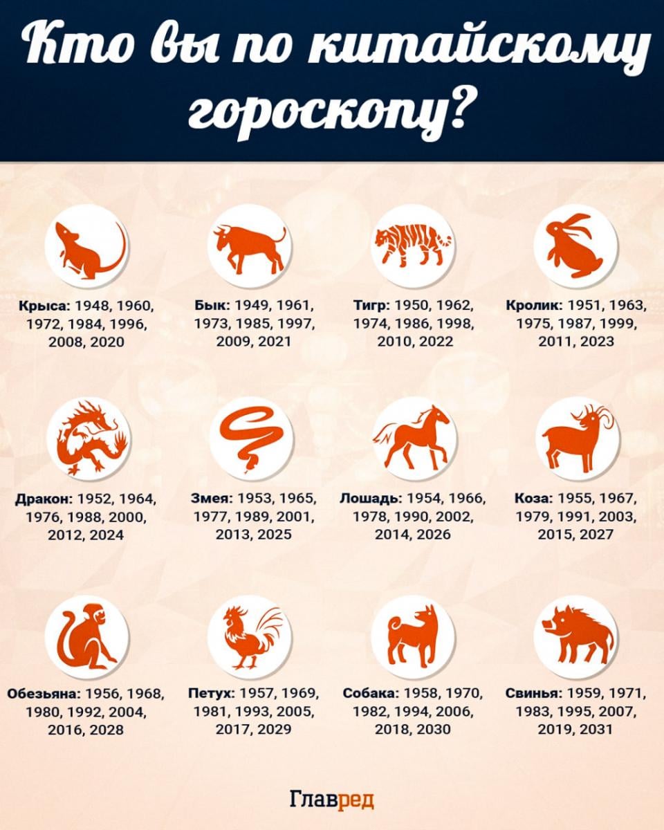 Китайский гороскоп инфографика