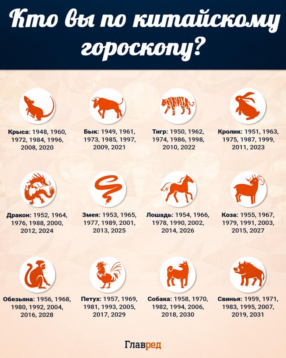 Китайский гороскоп инфографика