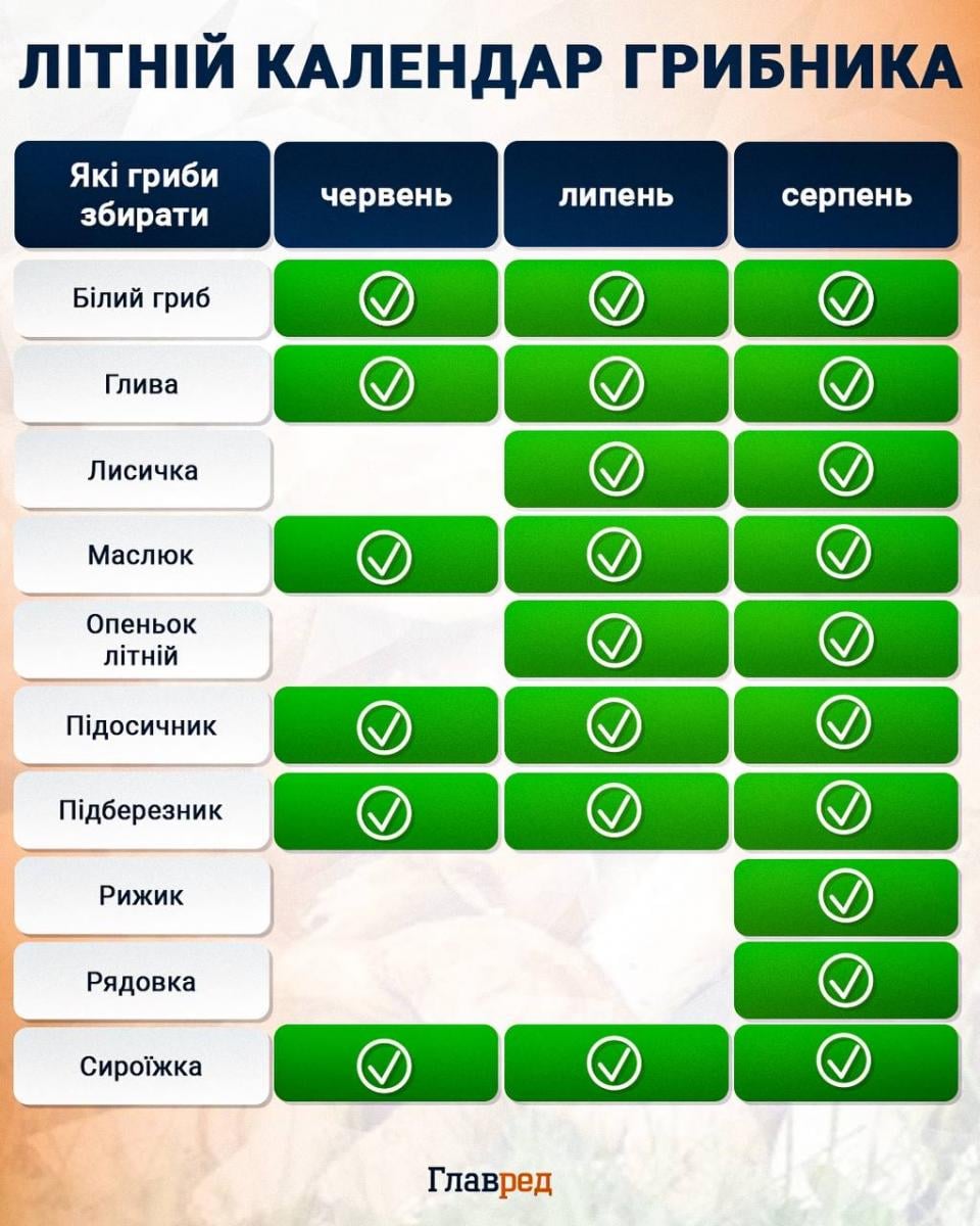 Де і як шукати гриби в серпні: експерт поділився дієвими способами