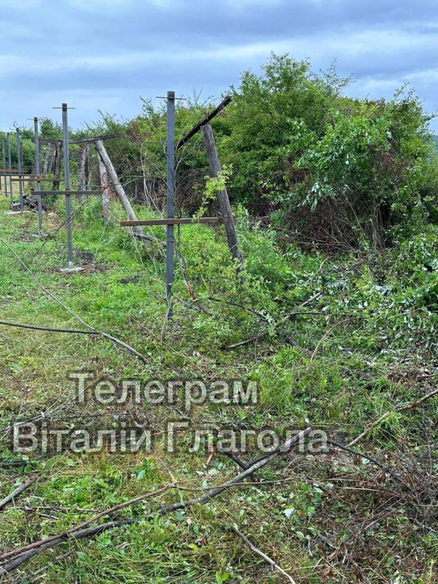 На Закарпатті вантажівка прорвала кордон