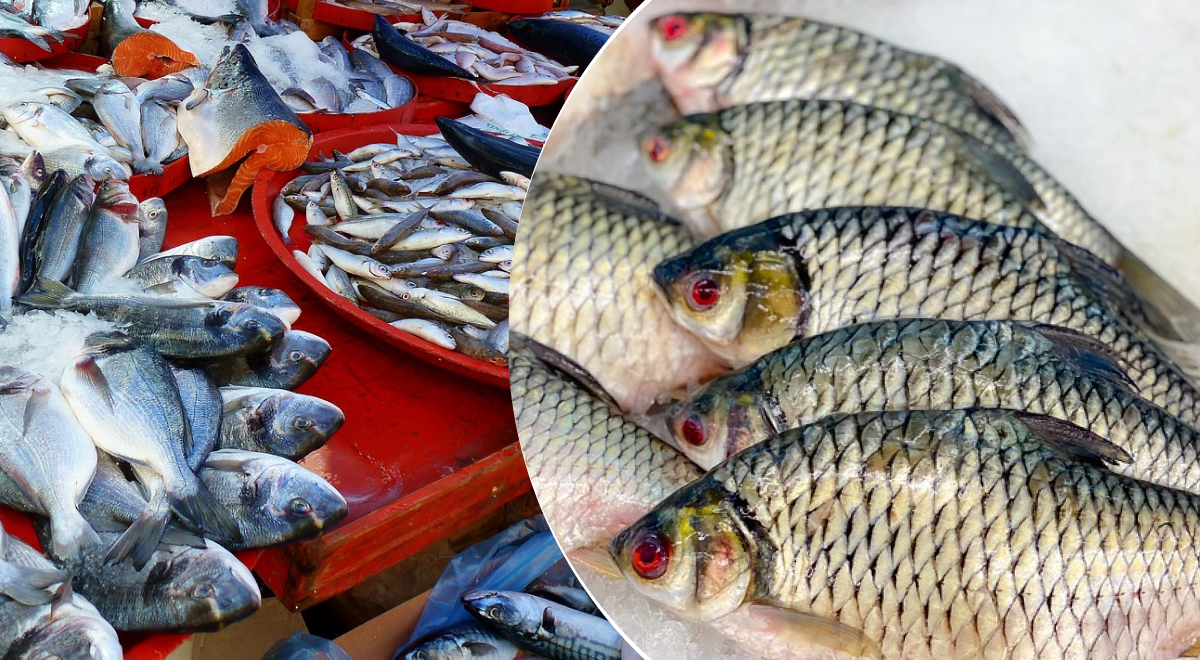 Не дайте себя обмануть: как распознать несвежую рыбу