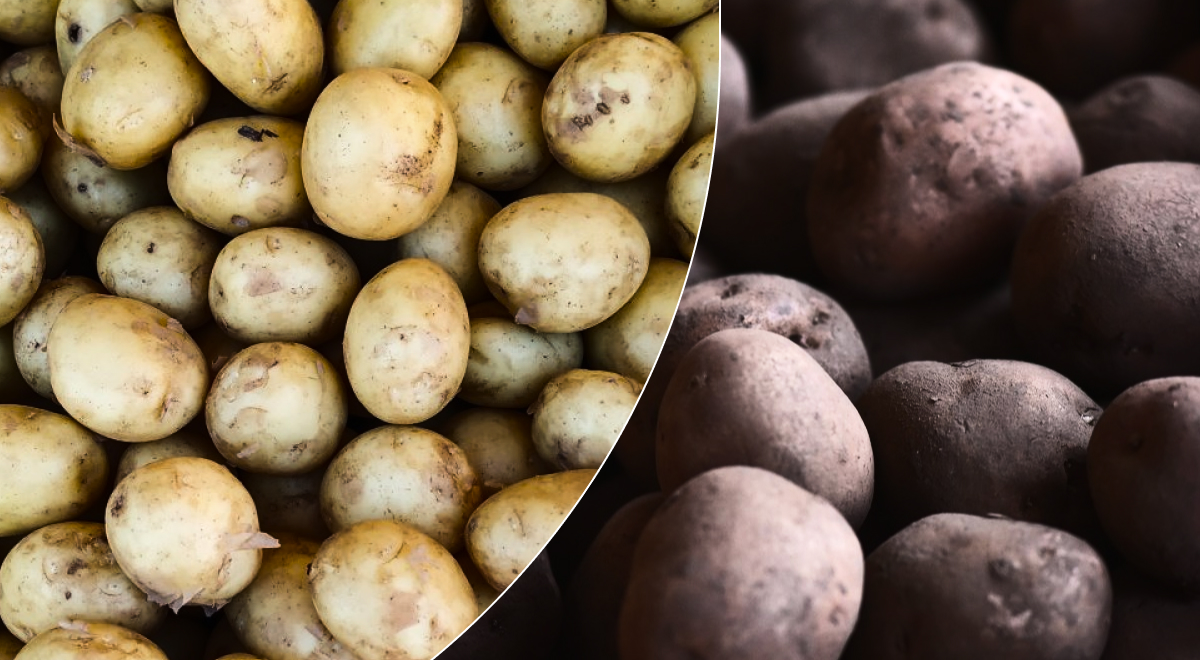 Молодая или старая: какой картофель полезнее - ответ удивит опытных хозяек