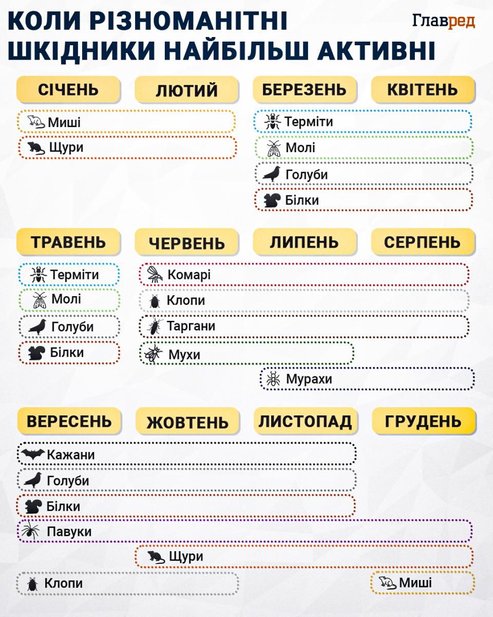 Шкоди більше, ніж від сарани: в Україні з’явився новий небезпечний шкідник Шкоди більше, ніж від сарани: в Україні з’явився новий небезпечний шкідник