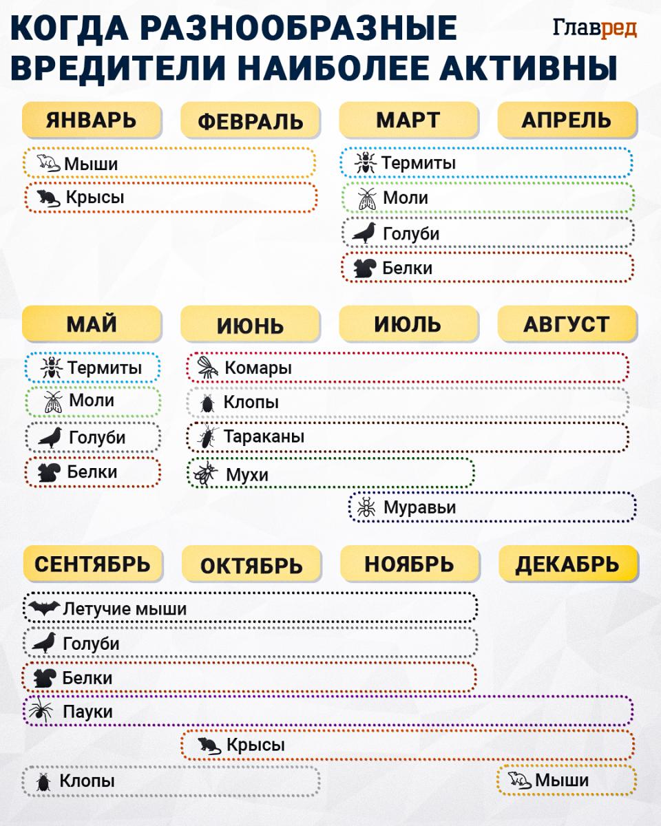 активность вредителей, вредители инфографика