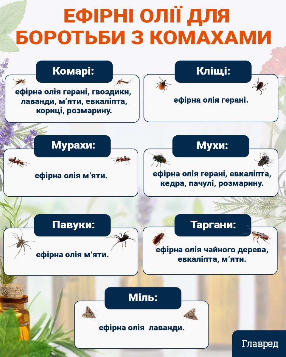 Средства для борьбы с насекомыми инфографика