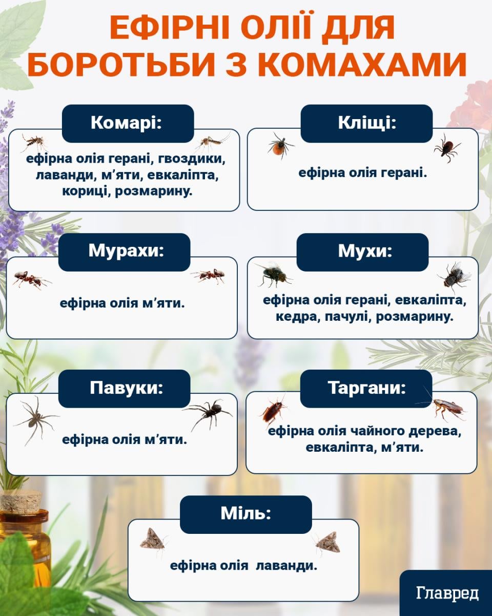 Средства для борьбы с насекомыми инфографика