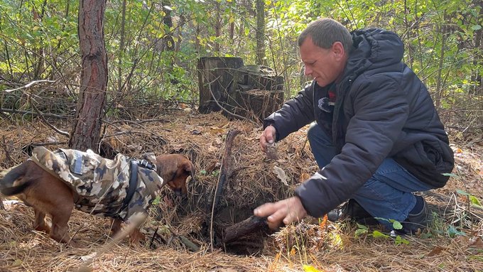 Виталий Куколь Виталий Куколь