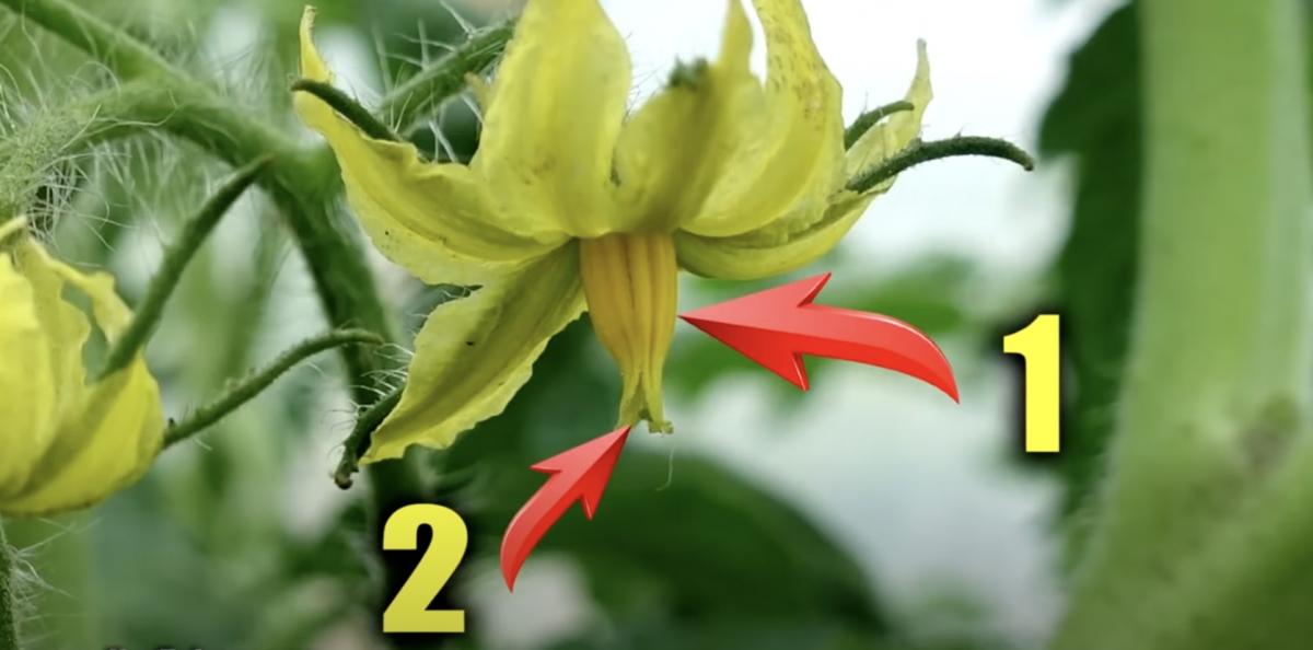 Скриншот Скриншот