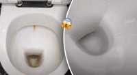 Навіть руки бруднити не доведеться: як відмити дно унітазу