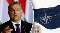 Угорщина не братиме участі: Орбан різко відповів на рішення НАТО щодо України
