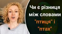 Птиця і птах – чи є різниця між словами: не усі знають правильну відповідь