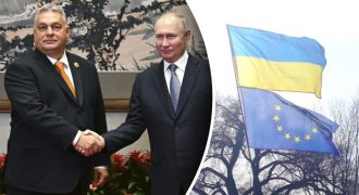 "Есть одна Баба-Яга": приспешник Москвы срывает переговоры о вступлении Украины в ЕС