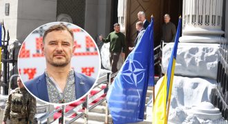 Три государства НАТО были против немедленного членства Украины год назад - посол
