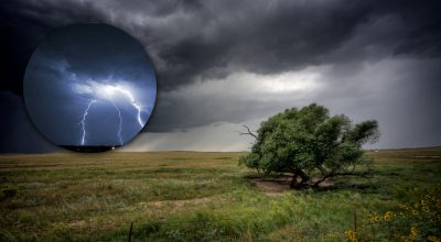 Дощі, грози та спека понад 30 градусів: якою погода в Україні буде на тижні