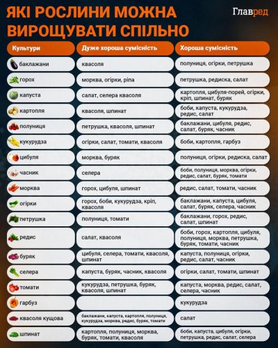Какие растения можно выращивать совместно инфографика Какие растения можно выращивать совместно инфографика