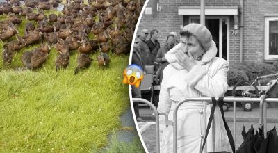 Жінка вийшла на вулицю і не повірила своїм очам Жінка вийшла на вулицю і не повірила своїм очам