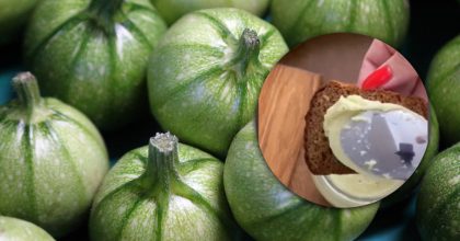 Вкусно и просто: рецепт кабачковой намазки с сыром - родные будут просить еще