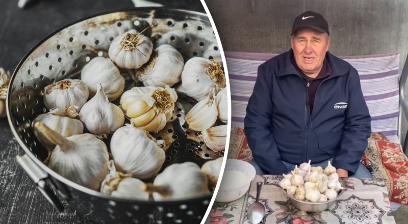 Як зберігати часник у банці: 3 найкращі способи, щоб він витримав всю зиму в ідеальному стані