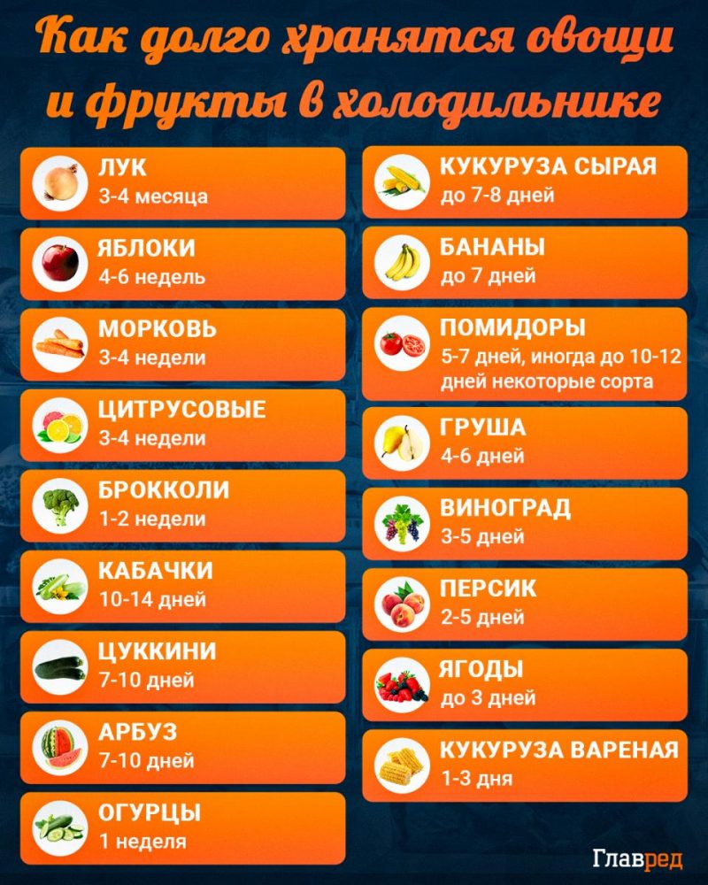 Чеснок: как правильно убрать, подготовить к хранению и сушить на зиму