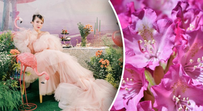 Китайський гороскоп на сьогодні 14 червня: Коням - сімейні проблеми, Зміям - витрати