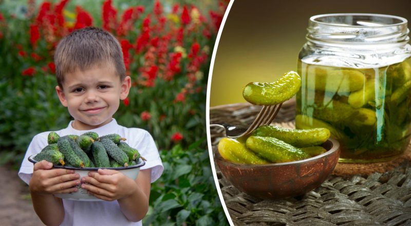 Як засолити огірки, щоб були хрусткі: господині поділились порадами