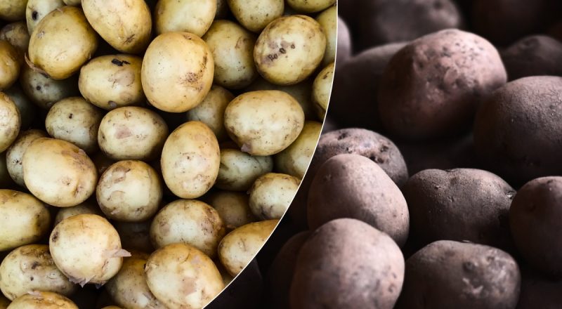 Молодой или старый: какой картофель полезнее - ответ удивит опытных хозяек