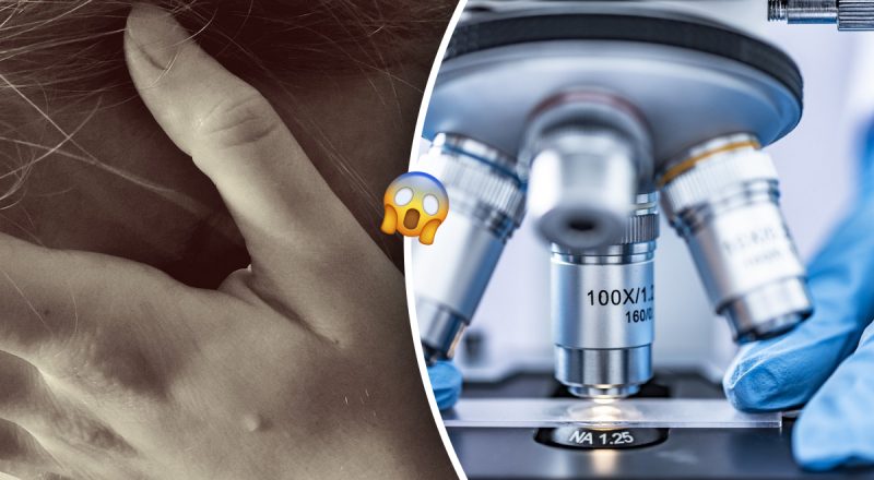 Девушка прошла тест ДНК ради забавы, но узнала страшную правду о своей семье