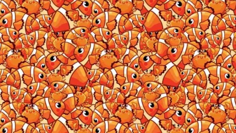 Ребус для тих, у кого зір яструба: треба за 8 секунд знайти морську зірку