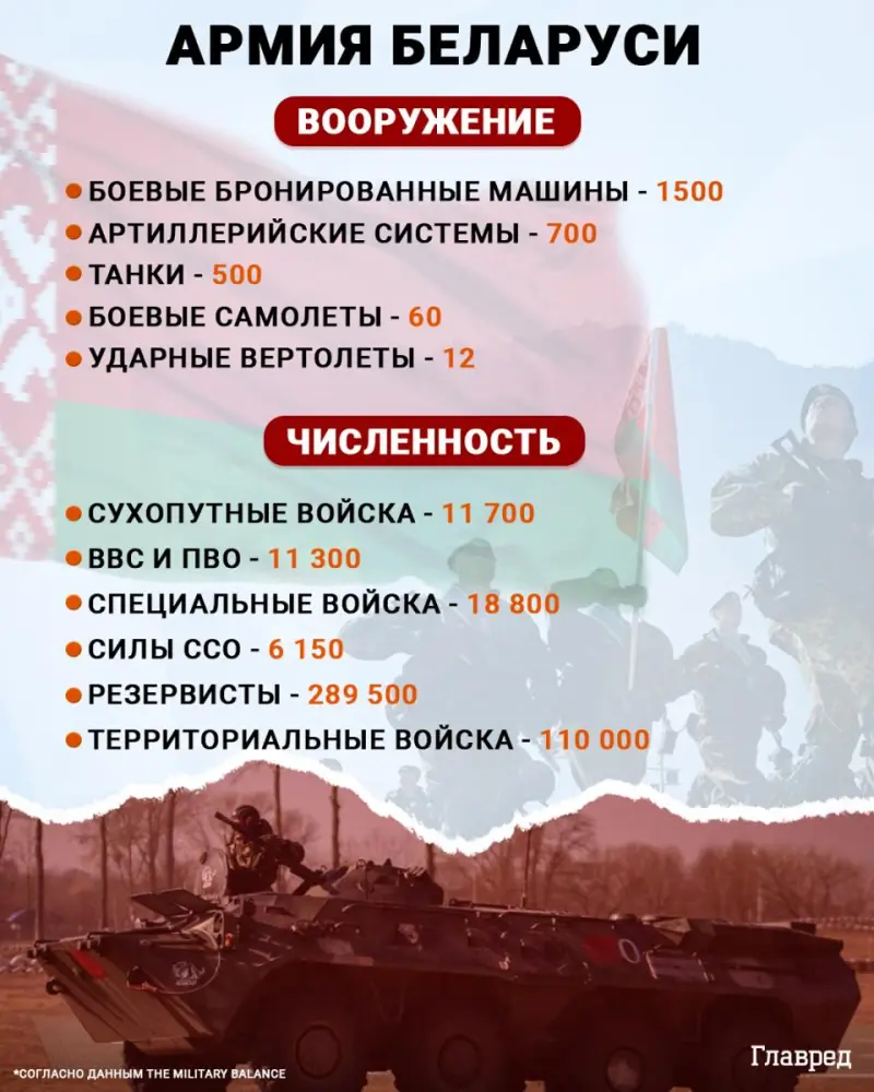 армия Беларуси инфографика армия Беларуси инфографика