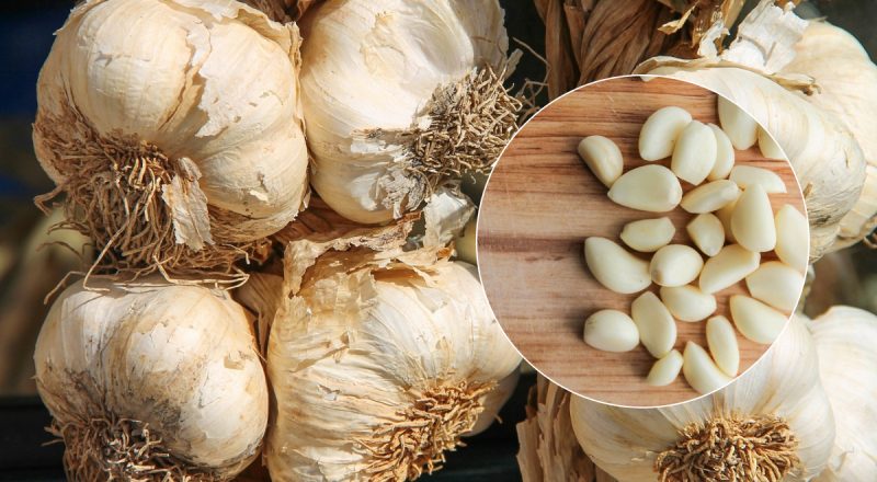 Як правильно зберігати часник, щоб він не висихав: перевірені бабусині способи