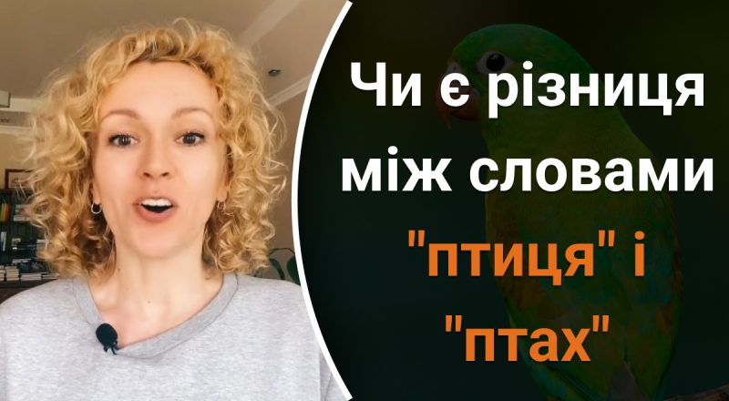 "Птиця" і "птах" – чи є різниця між словами: не усі знають правильну відповідь