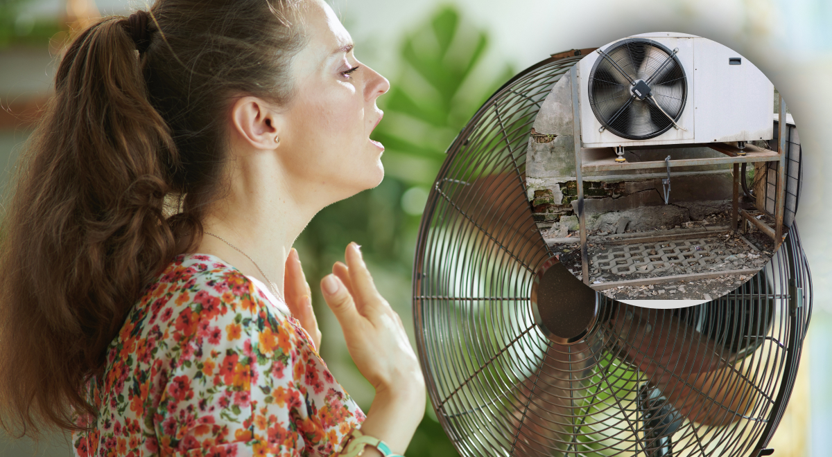 Без кондиционера и вентилятора: как охладить квартиру в жару - лучшие советы