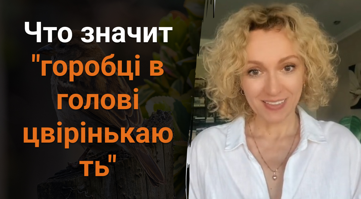 Что значит горобці в голові цвірінькають - мало кто знает правильный ответ  - Главред