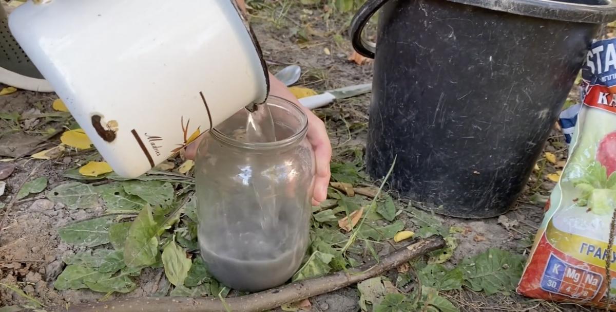 Чим підгодувати троянди, щоб вони рясно цвіли: названо найкраще добриво Чим підгодувати троянди, щоб вони рясно цвіли: названо найкраще добриво