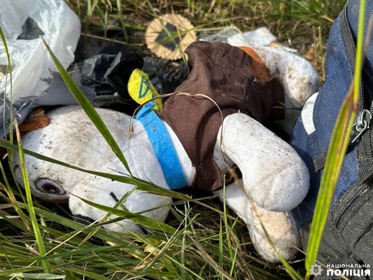 Жуткое ДТП в Ровенской области 6 июля