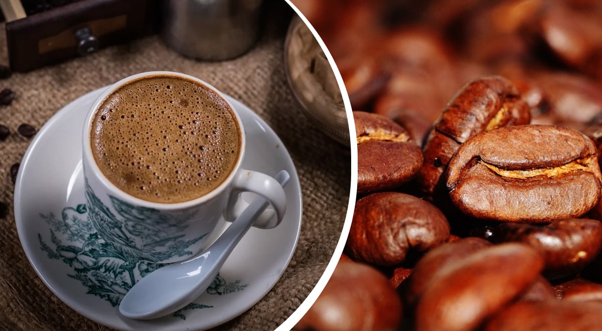 Арабика vs робуста: как выбрать лучший сорт кофе в зернах